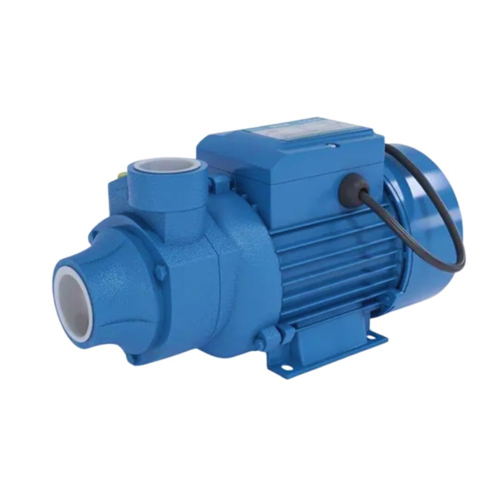 Bomba De Água Periférica Poço Cisterna Piscina 1/2cv Cp60h 127V