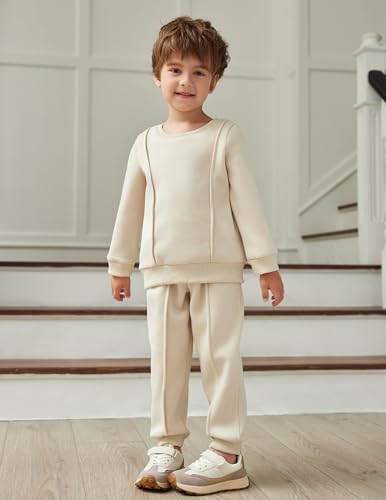 Image of Toddler Boys boys sets ,Long Sleeve Fleece Fall Winter boys sweatsuit