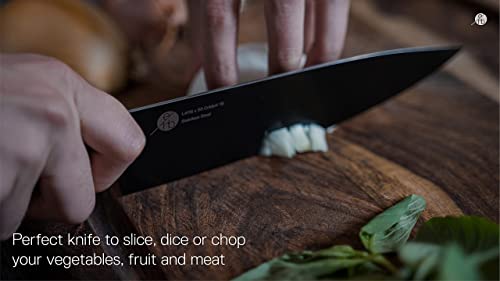 Everdure German Steel Professional Chef Knife, 10 Inch Knife With Titanium Coated Blade And Pakka Wood Handle, Perfect Kitchen Knife For Slicing Or Dicing Your Vegetables And Meat #TOP5