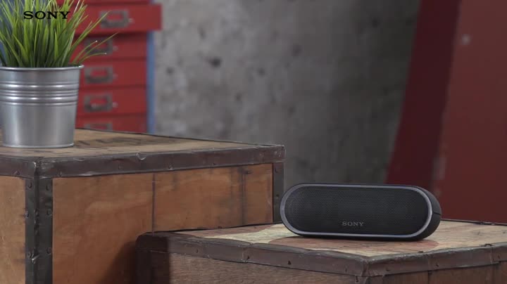 Sony SRS-XB20 Portable Wireless Speaker with Extra Bass and