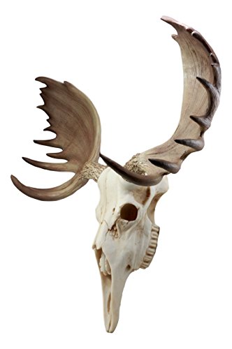 Ebros Czar North American Bull Moose Skull Wall Decor 22"Wide Wall Mount Plaque Sculpture Figurine #TOP4