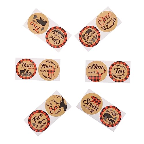 KOMBIUDA 12̌Ƃ̐L^pfJ[ L^pXebJ[ ʐ^p