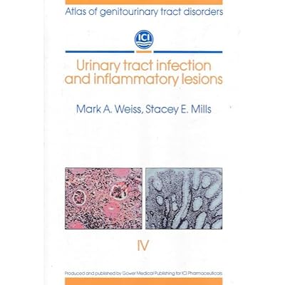 Urinary tract infection and inflammatory lesions