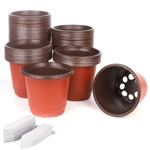 auriikoop Anzuchttöpfe 100 Stück Pflanztöpfe Pflanzentöpfe 9 8 cm Blumentopf Durchmesser für Sämlinge Pflanzen Sukkulenten Setzlinge Stecklinge Umpflanzen und Gartenarbeit