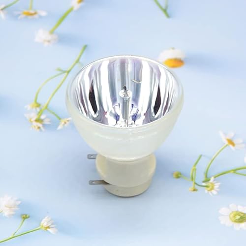 DEYDRM Kompatibel 5J.JD305.001 for BenQ W1350 HT4050 Projektor Lampe Birne P-VIP 260/0,9 E20.9