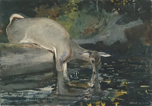 Tableau cerf buvant Winslow Homer impression de prestige 60x90cm