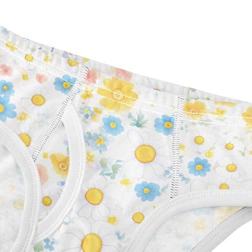 KLL Daisy Little Boys Pure Cotton Briefs Breathable Children Panties4
