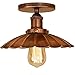 Lampada Soffitto In Metallo Lampadario Vintage Industriale Plafoniera A Forma Di Ombrello Per Loft Ristorante Corridoio-22CM/Ruggine