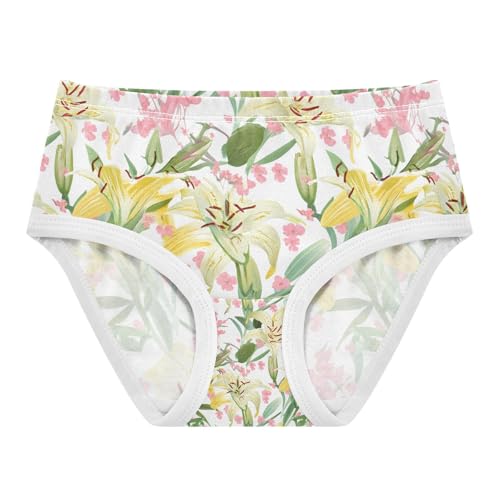 Lilies Delicate Pink Blossoms Toddler Girls's Underwear 2T 202c1456