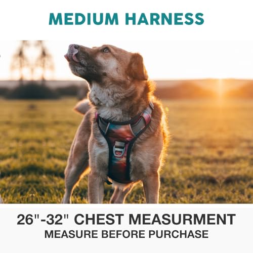 Embark No Pull Dog Harness, Reflective Adjustable Training Vest, No Choke | Adjustable straps fit all dog breeds with sturdy hooks; 360° reflective trim, soft padded Harness Design for All Dogs - Image 4