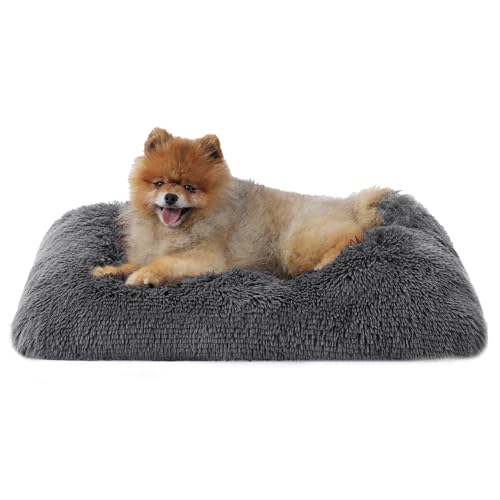 BEDSURE Flauschiges Hundebett Grosse Hunde - 61x45x8 cm Hundebett waschbar für große Hunde, rutschfeste Unterseite, plüsch Hundekissen Grosse Hunde, Dunkelgrau BEDSURE Flauschiges Hundebett Grosse Hunde - 61x45x8 cm Hundebett waschbar für große Hunde, rutschfeste Unterseite, plüsch Hundekissen Grosse Hunde, Dunkelgrau