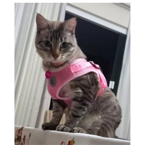 Coleira Peitoral para Cachorros e Gatos com Colete Reflexivo Regulável e Guia de Passeio (ROSA, S)