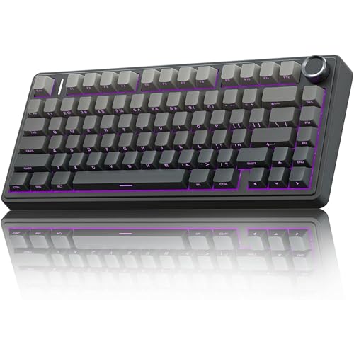 AULA F75 75% Side-Engraved Keycaps Wireless Hot Swappable | Pre-lubed Linear Switches | RGB Backlit | 2.4GHz/Type-C/Bluetooth Mechanical Gaming Keyboard (Side-Engraved + Gradient-Gray Reaper Switch)