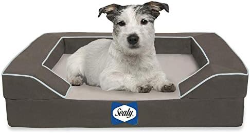 Sealy Lux Pet Dog Bed | Quad Layer Technology with Memory Foam, Orthopedic Foam, and Cooling Energy Gel. Machine Washable Cover. Small, Modern Gray