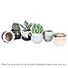 Jomass 2.5 Inch Ceramic Planters,Flowing Glaze Succulent Planters Cactus Flower Plant Pot/Container Mini Succulent Plant Pots Black White Base Serial 6pcs in Set Plants Not Included
