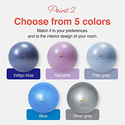 Primasole Yoga & Exercise Ball For Balance Stability Fitness Workout Pilates At Home Office & Gym With Inflator Pump (17.7 Inch Pale Gray) Pss91Nh057A #TOP2