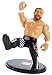 WWE Sami Zayn Retro App Action Figure