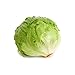 Iceberg Lettuce, 1 Head