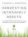 Harvesting Intangible Assets: Uncover Hidden Revenue in Your Company's Intellectual Property