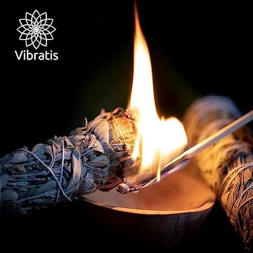 Salvia Bianca Sciamanica per Purificazione 16cm