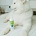 earthbath, Green Tea & Awapuhi Shed Control Dog Shampoo - Cruelty Free Dog Shampoo, Helps Relieve Shedding & Dander, Gentle Dog Wash, Made in USA, Dog Bathing Supplies - 16 Oz (1 Pack)