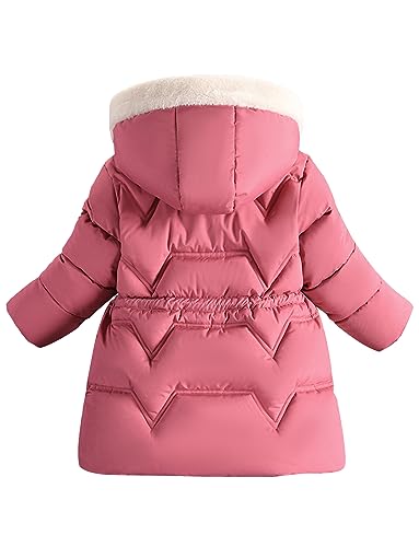 SEAUR Kids Winter Coats Toddler Hooded Coat Girls Windproof Winter Jacket Warm Zipper Jacket Thick Thermal Fleece Lined Coat4