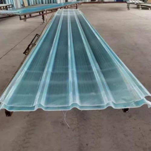 Ziusfac Sion Wellplatte Transparent 10PCS