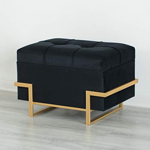 Fabulaxe Rectangular Velvet Storage Ottoman With Gold Legs, Black #TOP2