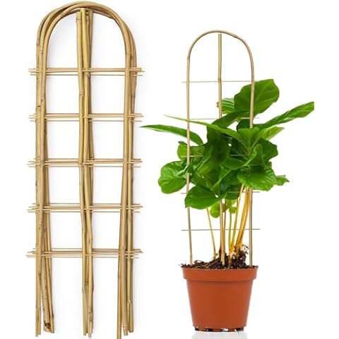 SWANGSA 10 Pack Bamboo Plant Trellis Cover