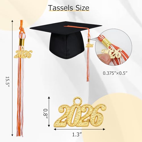 Image of GraduationMall Single&Multiple Color Graduation Tassel with 2026 Year Charm 9 inch