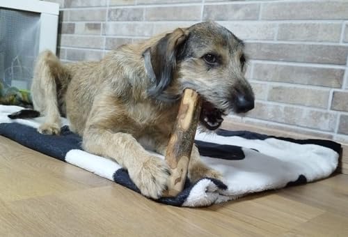 ARTISAN GIFT CO Olivenholz Kauspielzeug für Hunde 100% Natürliches (M-15 cm) 1 Stück