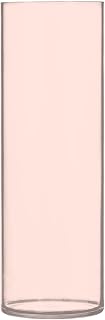Light Lumber Solid Color Plastic Cylinder Vase 12 x 4 Inch Tall Shatterproof Lightweight Clear Flower Vases for Table Centerpiece for Living Room, Dining Table & Office
