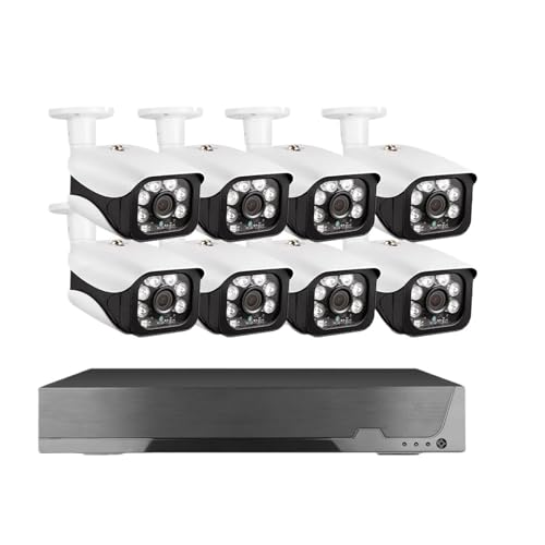 4K 8MP ZLeBLbg 8CH POE NVR O ^ lZT[ obgIPJ rfIĎ X}[gCtVXe(3T,8CH NVR 8pcs cam)