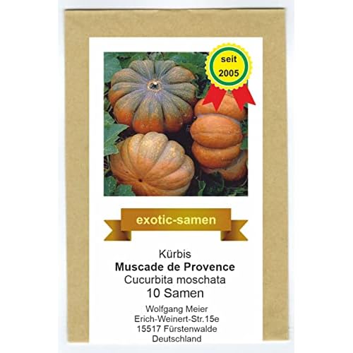 Muskatkürbis - Speisekürbis - Muscade de Provende - 5-10 kg - alte, samenfeste Sorte - 10 Samen