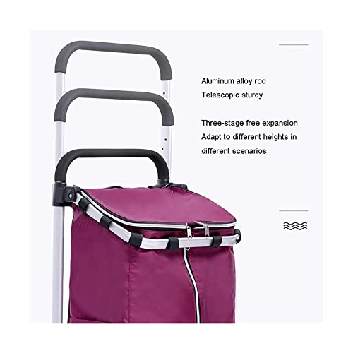 QUANLI Zusammenklappbarer Einkaufstrolley, Teleskop-Einkaufswagen mit 2 Rädern und großer wasserdichter Tasche, robuster… – Bild 5