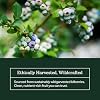 Eclectic Herb - Bilberry Powder Supplement | Vision Health, Cardiovascular Support & Circulation | Superfood Vitamin & Mineral Supplement | Freeze Dried, Vegan, Non-GMO, Gluten Free (3.2 oz | 90 g)