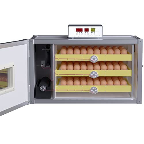 5 Best Egg Incubators for Parrot Breeding Success