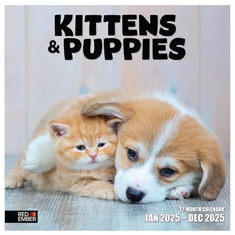 RED EMBER Kittens & Puppies 2025 Wall Calendar 12 Month | 12" x 24" Open | Thick & Sturdy Paper | Giftable | Calendar 2025 Cover