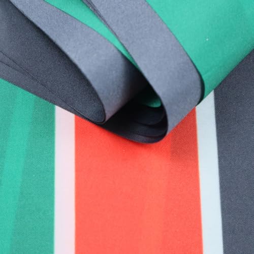 Image of AZ FLAG South Sudan 6 meters BUNTING Flag 20 flags 9'' x 6'' - South Sudanese STRING flags 15 x 21 cm