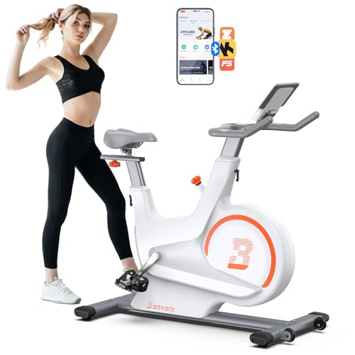 Bicicleta Estática Magnética con 2 Asientos - Bonvork Bicicletas Estacionarias Silenciosas de Transmisión por Correa para el Hogar con Volante de Inercia Pesado de 20KG (blanco)