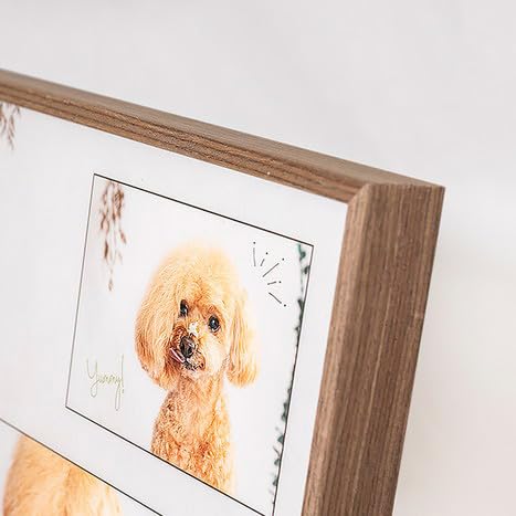 ポートレート撮影 (クリスタルフレーム3カット) | 撮影 写真 スタジオ 写真館 記念日 誕生日 お祝い 思い出 ペット 犬 ギフト プレゼント 記念撮影 栃木県 壬生町