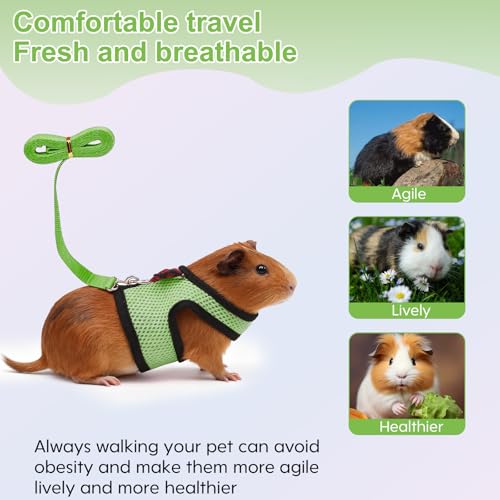 Image of Guinea Pig Harness and Leash,2packs Guinea Pig Clothes Baby Ferret Rats Hamster Soft Mesh Harness Leash for Decoration,Hamster Harness can be Adjusted to Any Size. (Black + Green)