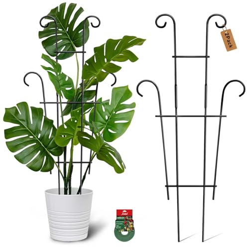 Image of Plant Trellis for Potted Plants 2p, Larger 23in Garden Trellis for Climbing Plants Indoor Outdoor, Rustproof House Plant Support Stakes for Pothos Hoya Ivy Flower