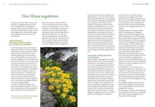 Mit Naturheilkunde Stress bewältigen: Nachhaltige Heilpflanzenkraft bei körperlichen & seelischen Beschwerden