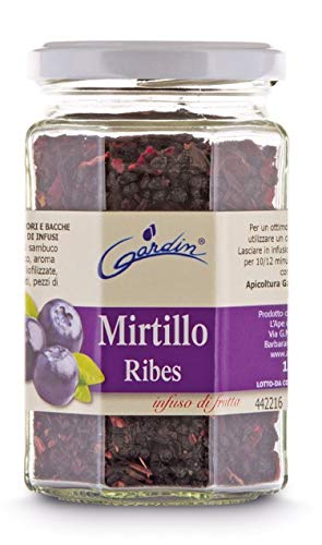 Gardin Infuso Mirtillo Ribes 120gr ; miscela di