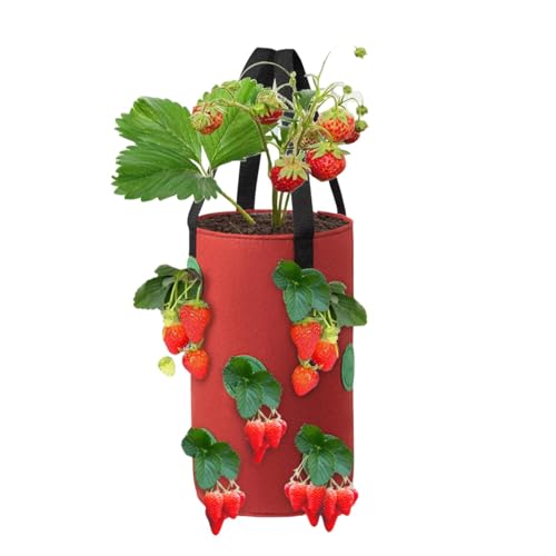 Bolsas de cultivo de fresas maceta de fresas