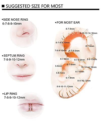 Afftiny Gold Nose Rings Hoops For Women Hypoallergenic Titanium Surgical Stainless Steel Cute Hinged Clicker 18G 6Mm Small Cartilage Piercing Ring For Helix thumb #2