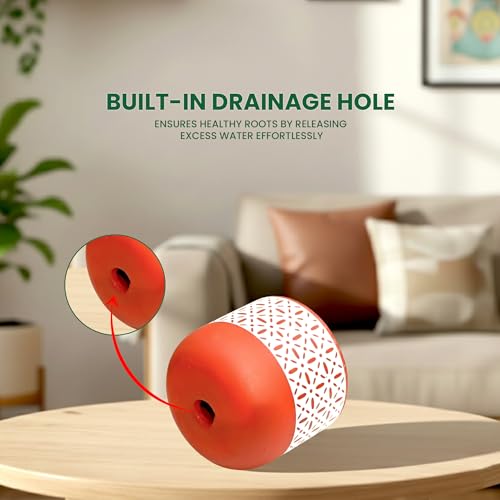 Image of Urban Plant Botanika Virasat Terracotta Pot with Drainage Hole (5 Inch) | Hand-Painted Decorative Clay Planter | Breathable Indoor Plant Pot for Healthy Growth | Tabletop Home Decor & Gifting