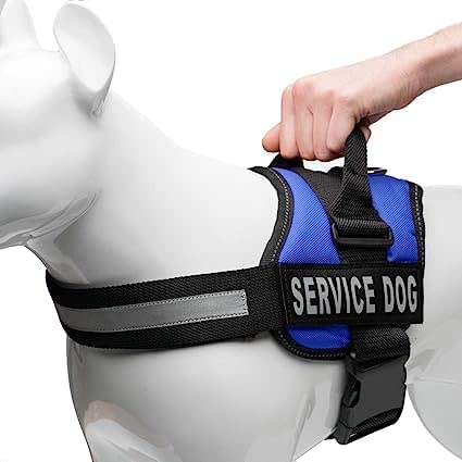 PetCeptual Service Dog Vest Harness Chest Body Belt with Adjustable Neck and Chest Dog (Small Dogs) (B0C4BH7C5Y) Amazon Price History, Amazon Price Tracker