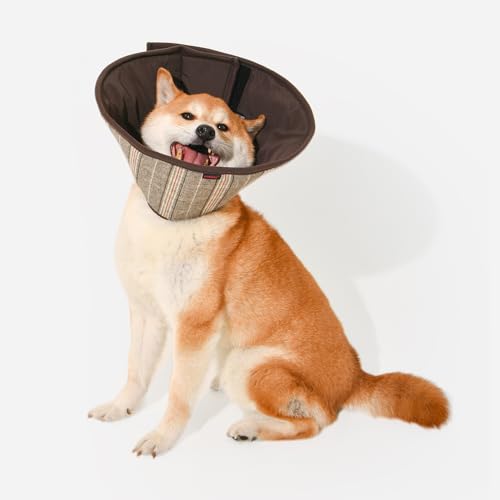 Puppia Dandy R[J[ p㌢p  K ybg񕜎 GUxX ̎ uE STCY